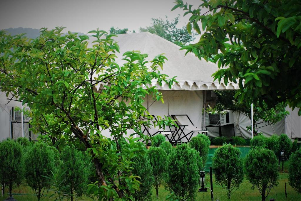 Jungle Resort Ranthambore
