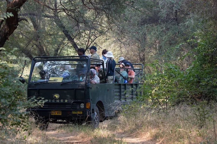 Canter Safari in Ranthambore