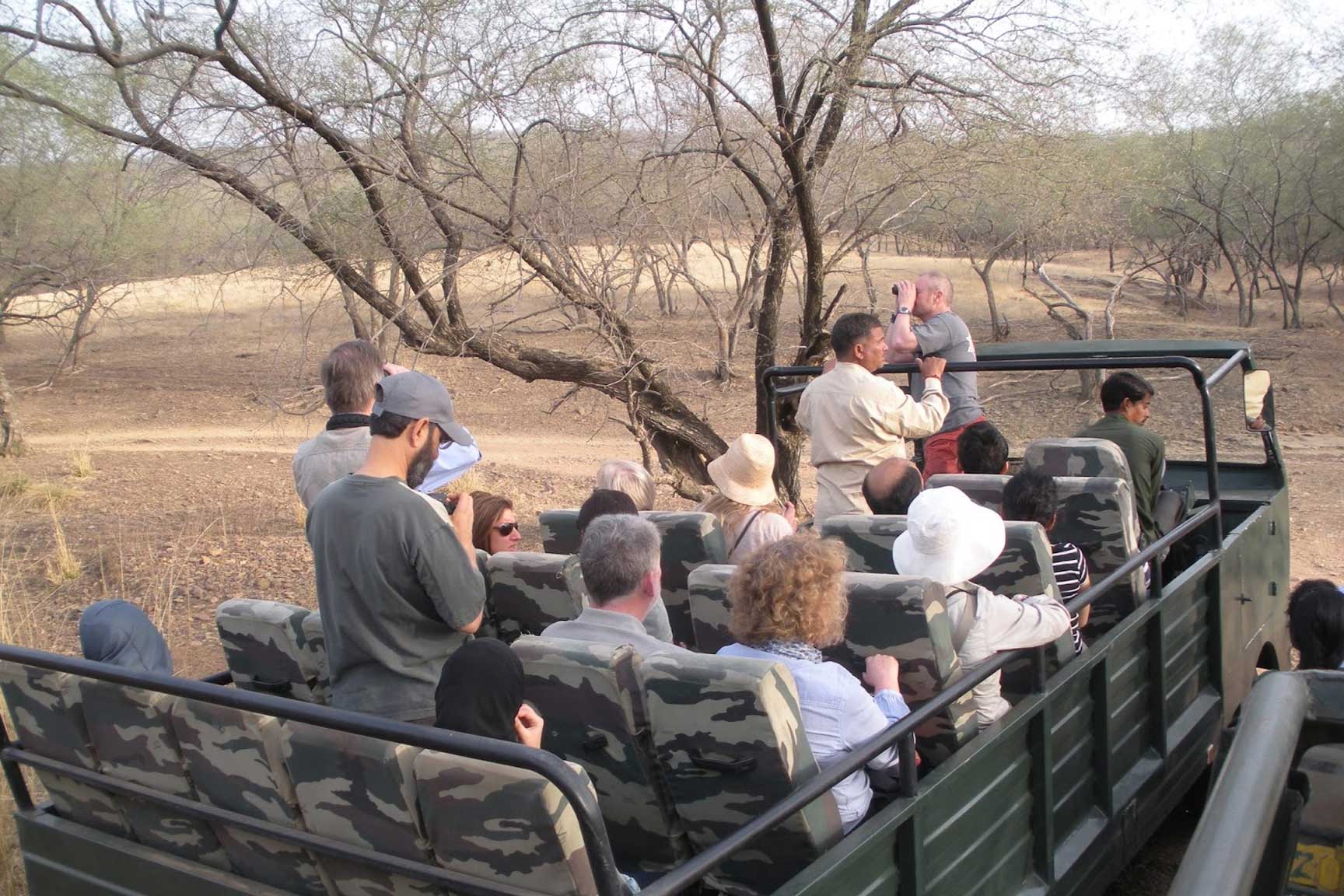 ranthambore-canter-safari